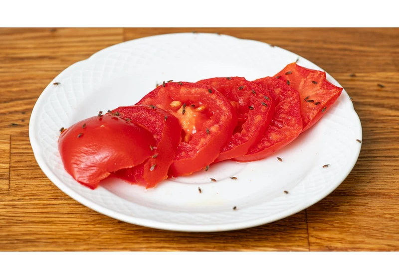 Tired of Fruit Flies Taking Over Your Kitchen? Try These Hacks