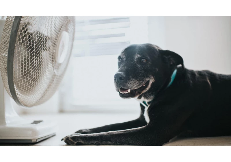 Save Money on Your AC Bill During Heat Waves This Summer     - CNET