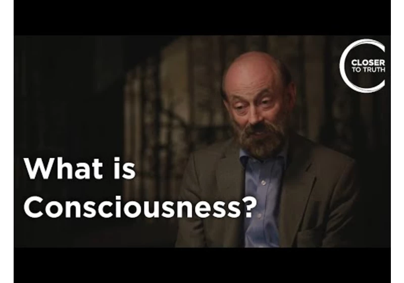 Raymond Tallis - What Is Consciousness?