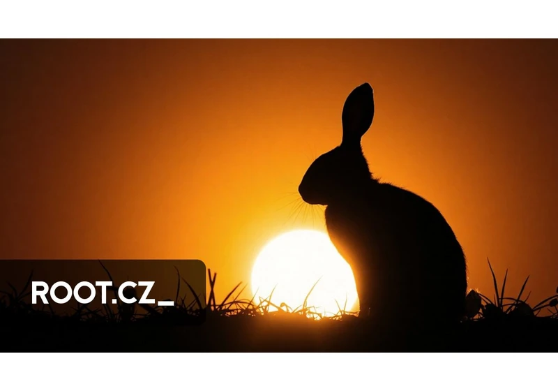 CodeRabbit: automatická analýza a recenze zdrojových kódů