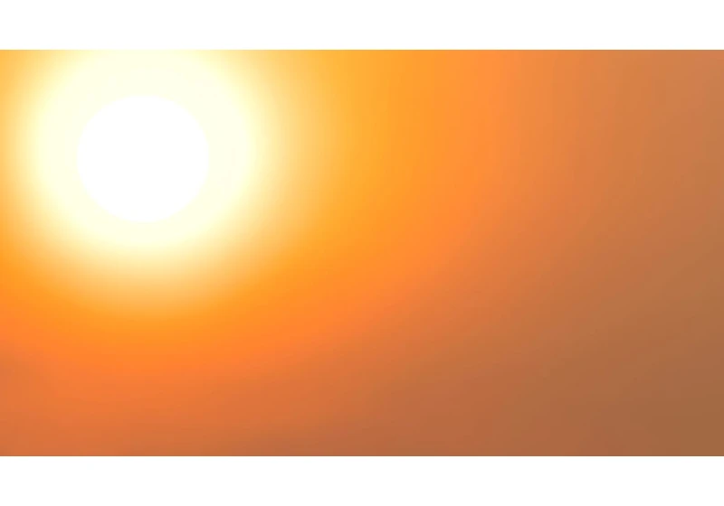 Heatstroke Can Happen Fast. Here's How to Spot It Before It's Too Late.