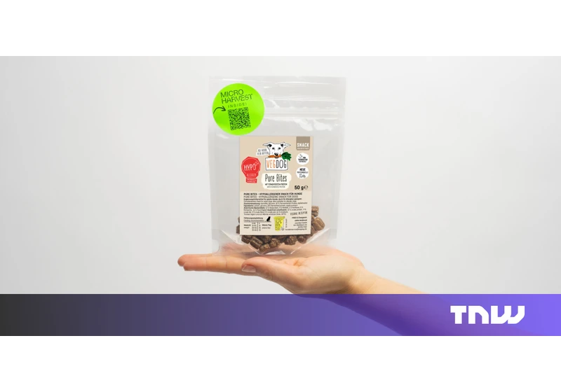 A Lisbon lab is turning dead bacteria into dog treats. Next up: Human snacks