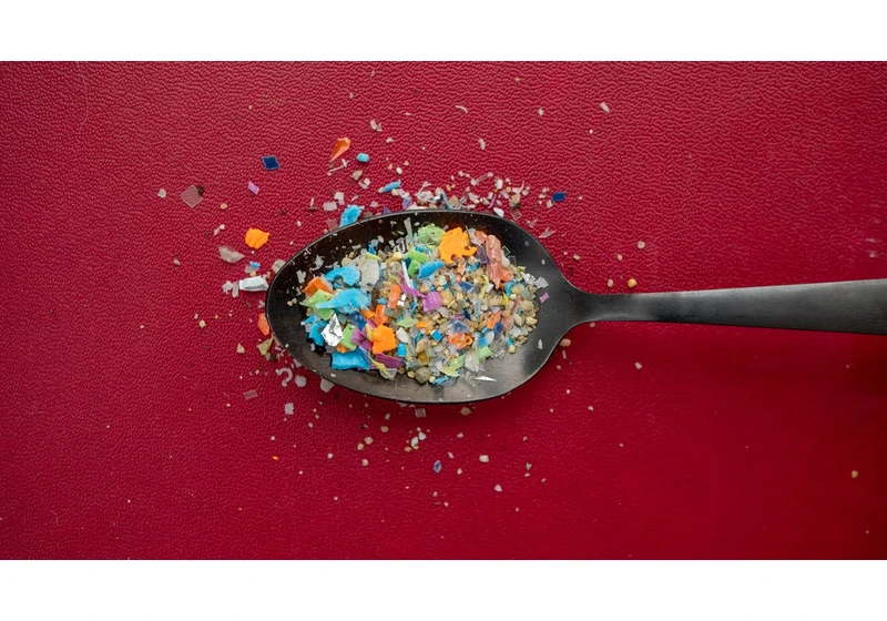 Millions of Microplastics Are Lurking in Your Kitchen. Here's How to Get Rid of Them