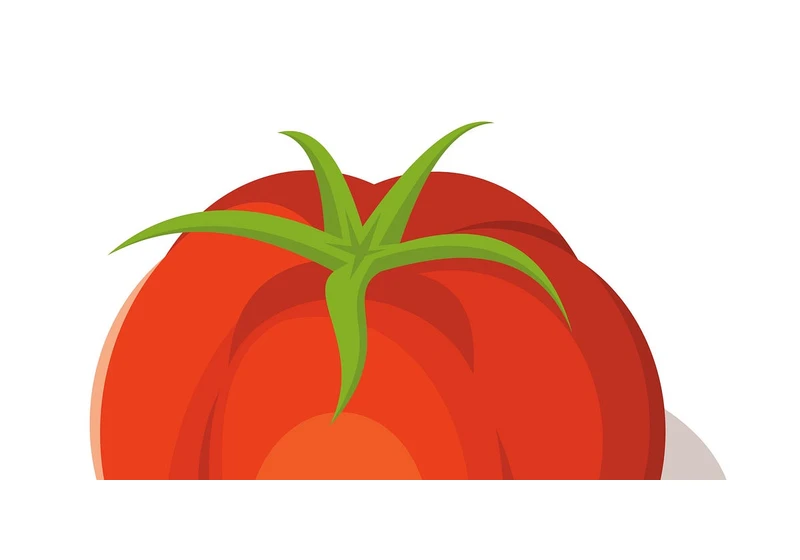 A statistical analysis of Rotten Tomatoes