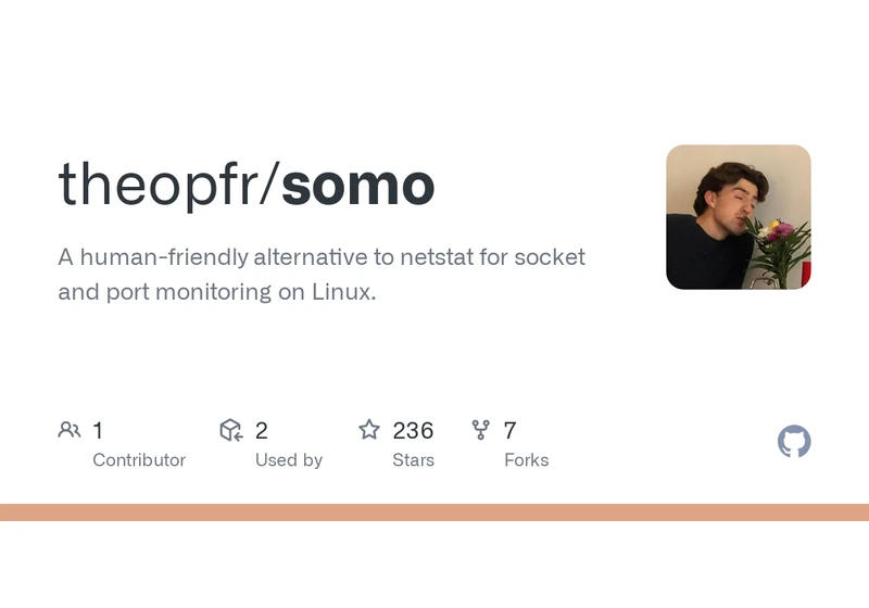 Show HN: Somo – a human friendly alternative to netstat