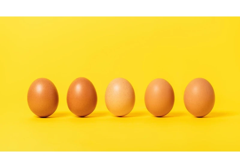 Don't Waste Your Eggs. Food Safety Experts Explains Shelf Life