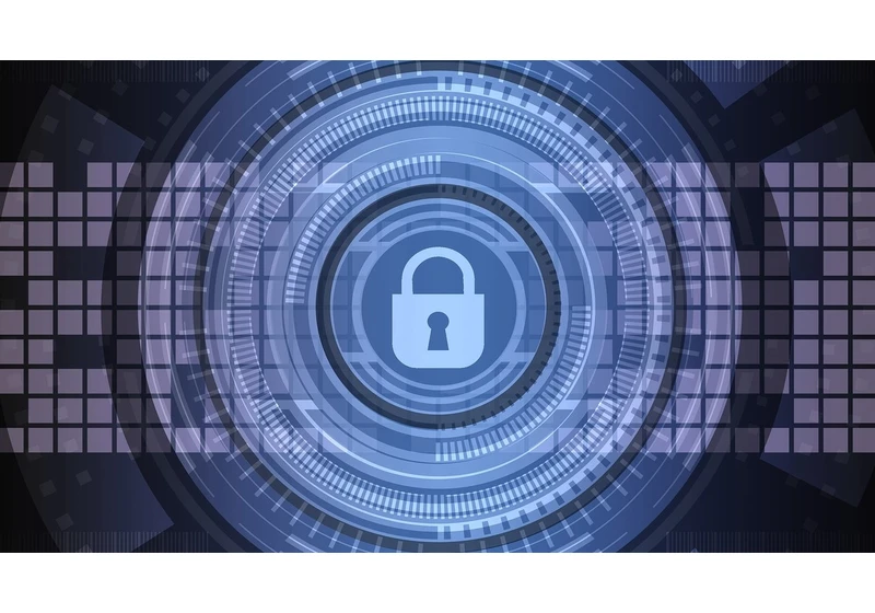More than 7 out of 10 businesses worldwide were hit by ransomware in 2024: here's what you need to know about this epidemic
