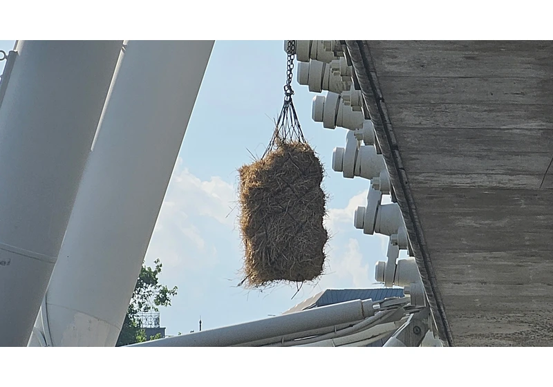 Ancient law requires a bale of straw to hang from Charing Cross rail bridge