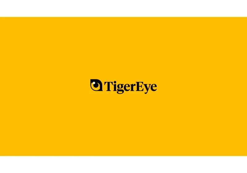 TigerEye (YC S22) Is Hiring a Full Stack Engineer