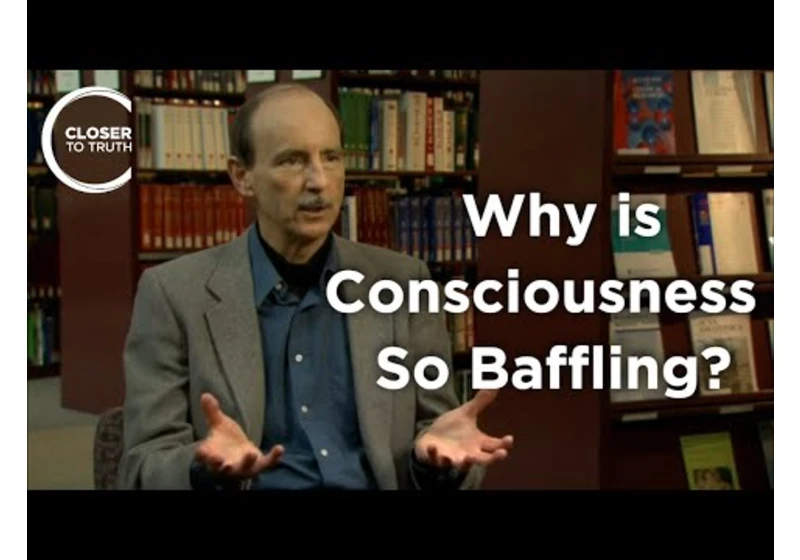 Roger Walsh - Why is Consciousness So Baffling?