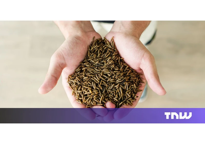 Insect farming startup targets pet food as gateway to human consumption