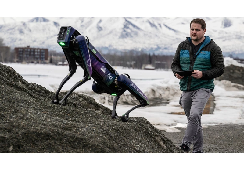 Headless, dog-sized robot to patrol Alaska airport to prevent bird strikes