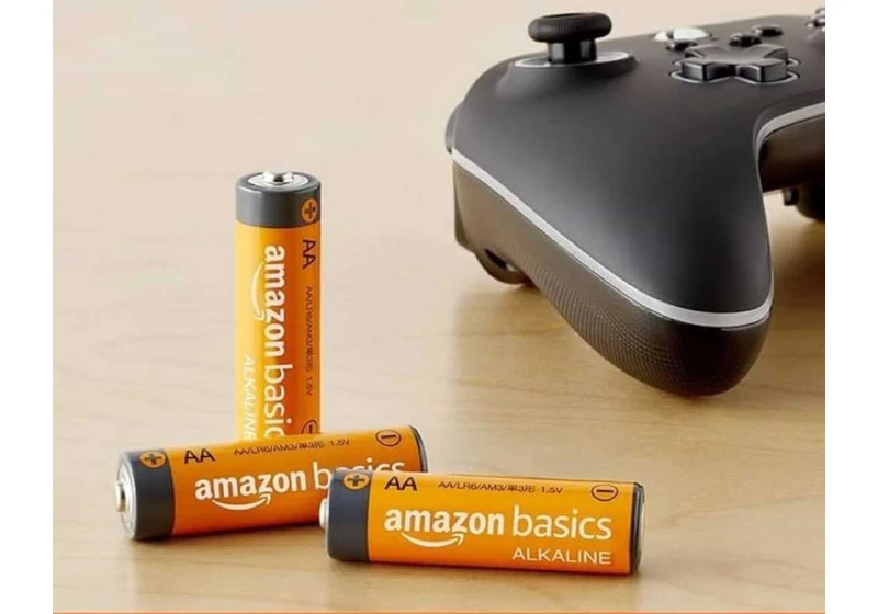 Don’t forget batteries! Get 48 Amazon Basics AA batteries for just $13