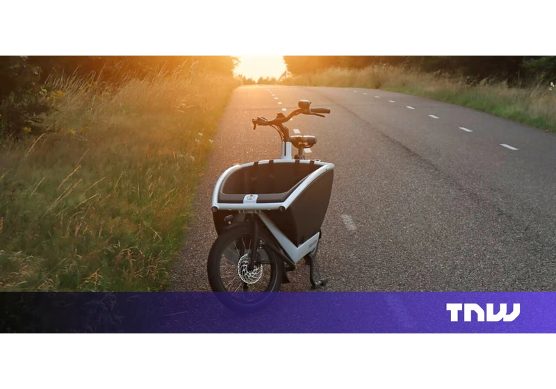 I swapped my car for an electric cargo bike