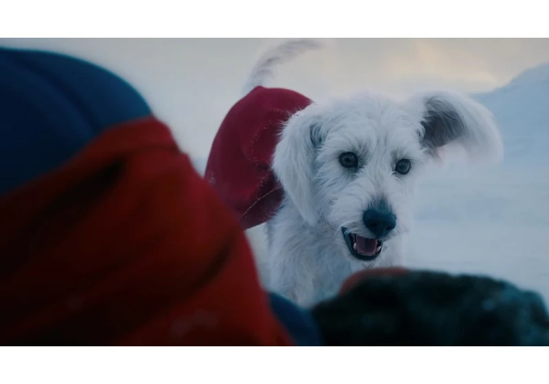 The first official trailer for James Gunn's Superman movie has been revealed, and I'm utterly obsessed with the DCU's take on Krypto the Superdog