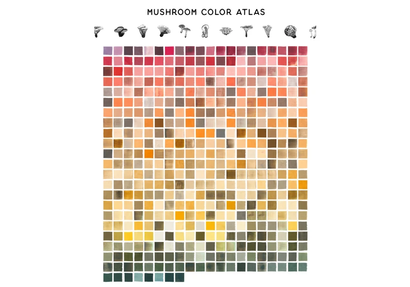 Mushroom Color Atlas
