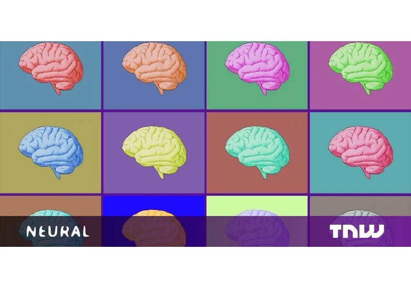 European MRI study provides experimental evidence indicating our brains are quantum