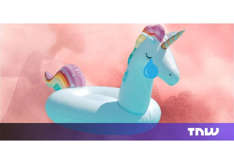 Values of European unicorns plunge amid sharp fall in public markets