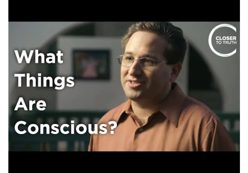 Scott Aaronson - What Things Are Conscious?