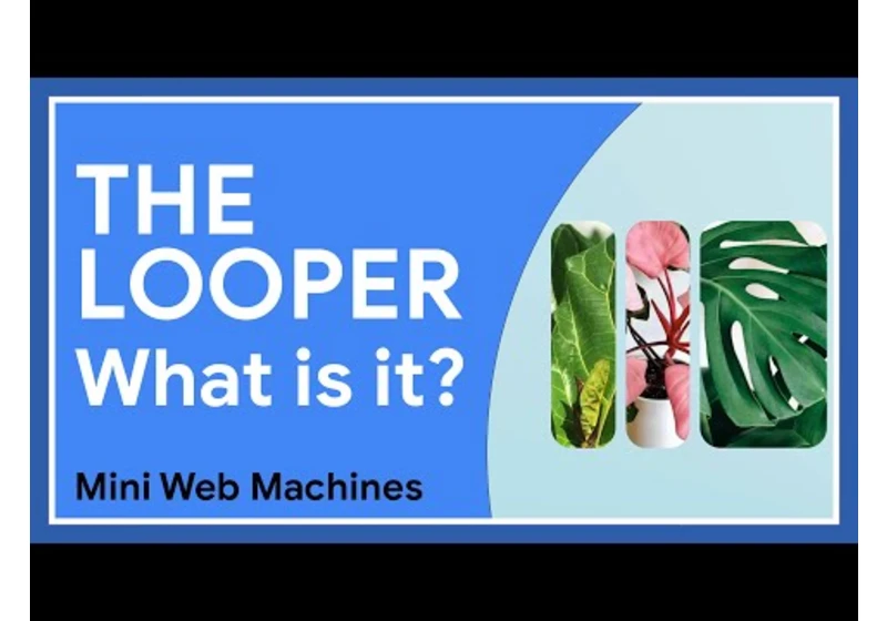 The Looper Mini Web Machine