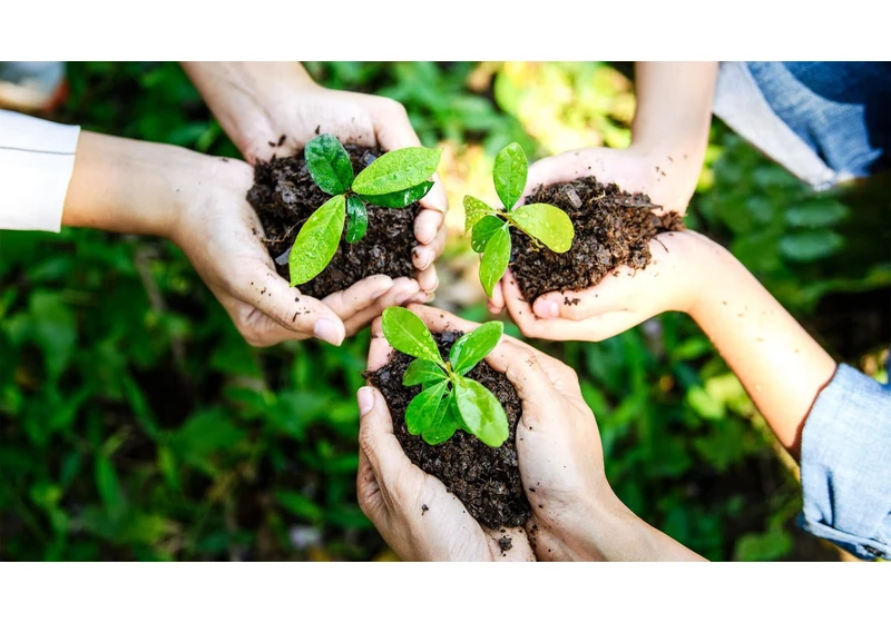 The 9 Best Gardening Tools, According to a Master Gardener and a Horticulturalist