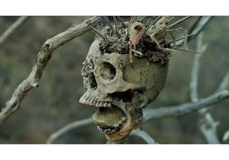 I Wanted to Stream a Horror-Western, and Netflix Has the Best Movie That Does Both