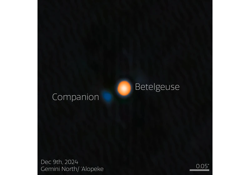 Gemini North Discovers Long-Predicted Stellar Companion of Betelgeuse
