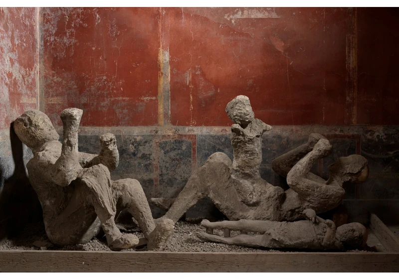 DNA from Pompeii Victims Reveals Surprising Relationships Amidst the Chaos