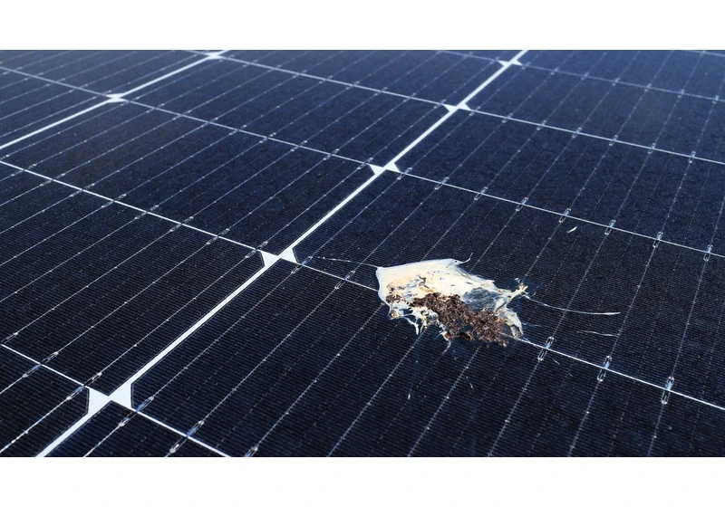 Beware of These 7 Solar Panel Scams Before You Buy