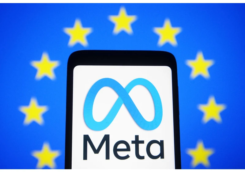 Meta and TikTok sue over paying the EU's fee for policing content