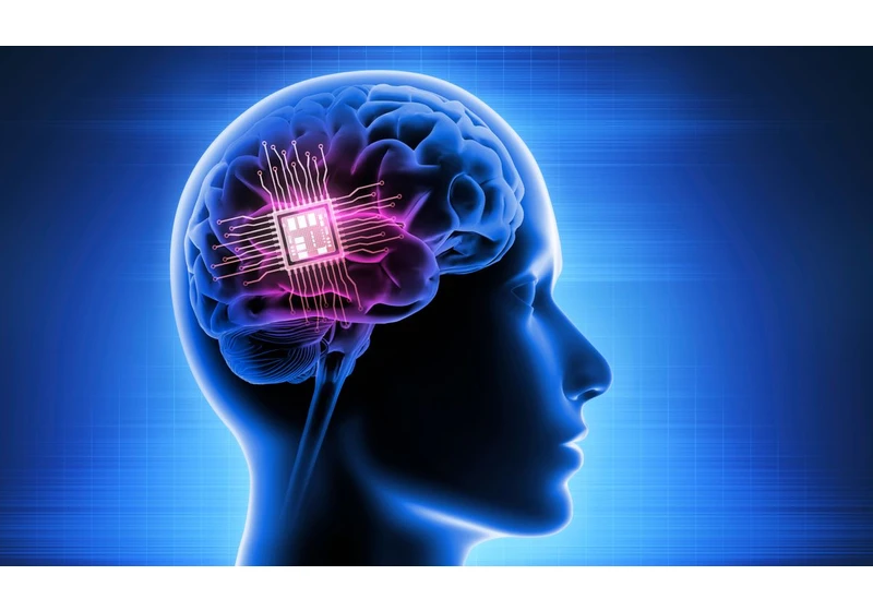  DishBrain Mixes Human and Mouse Brain Cells With AI 