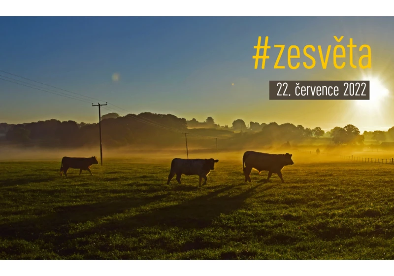 #zesvěta: Praní špinavých krav