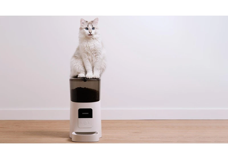 8 Tested Pet Gadgets Made With Your Dog or Cat in Mind
