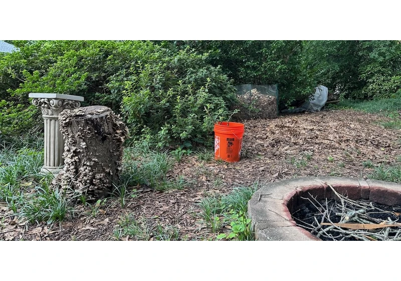Try the Mosquito Bucket of Death