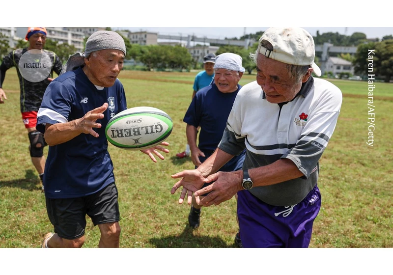Ageing accelerates around age 50 ― some organs faster than others