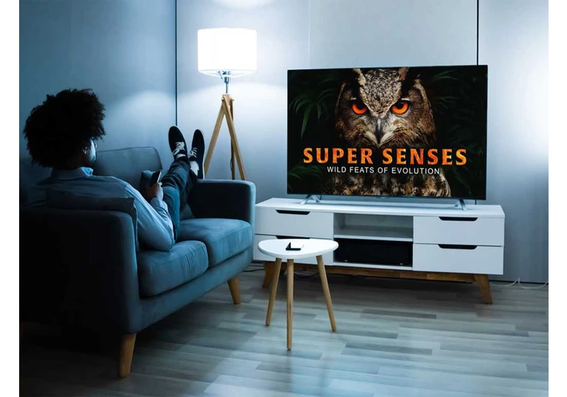 Bored with TV? Try feeding your brain with a lifetime supply of documentaries