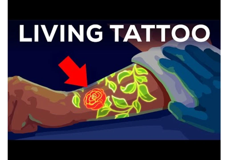 Your Tattoo is INSIDE Your Immune System. Literally