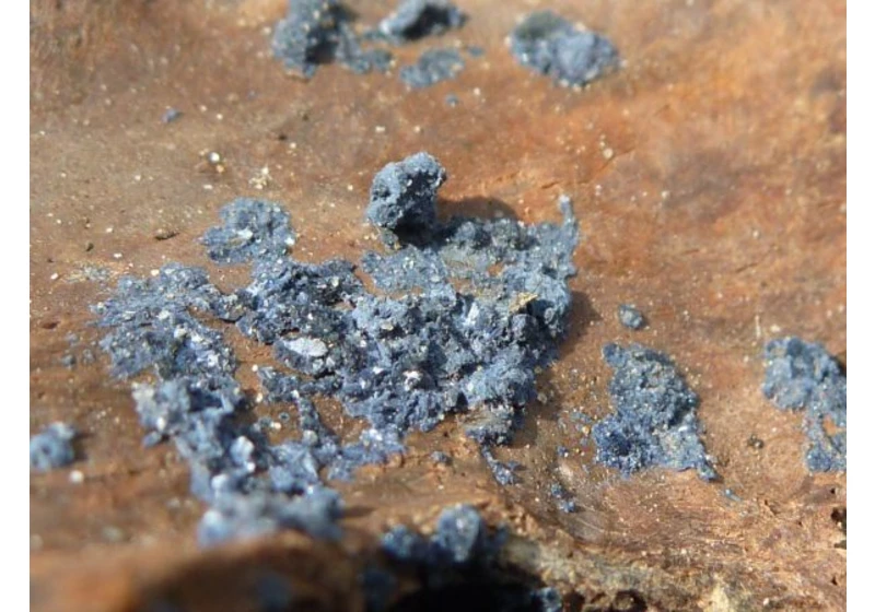 The Vivid Blue Mineral That Grows on Buried Bodies and Confuses Archaeologists