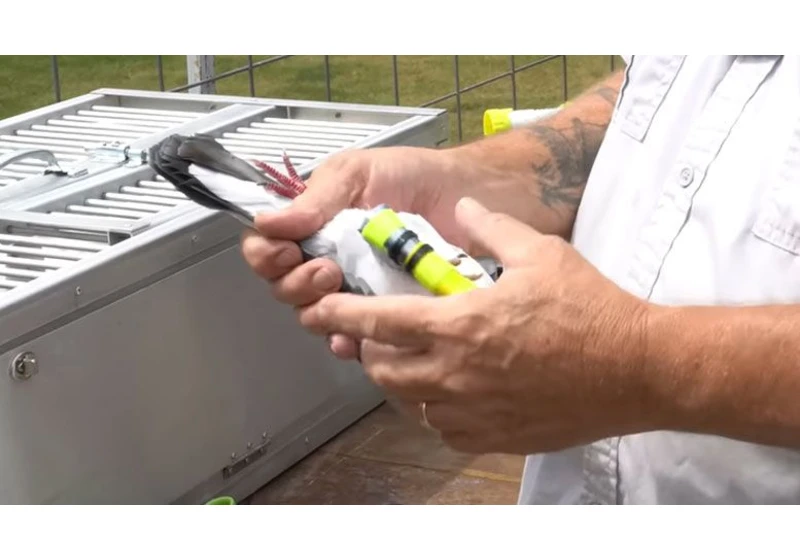 Yes, a Pigeon is Faster for Data Transfer than Gigabit Fiber Internet