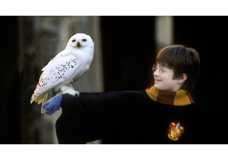 HBO’s Harry Potter reboot begins filming in summer 2025– here are the actors tipped to play Dumbledore, Snape, and more