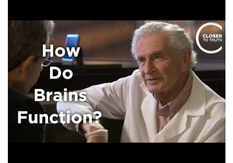Arnold Scheibel - How Do Brains Function?