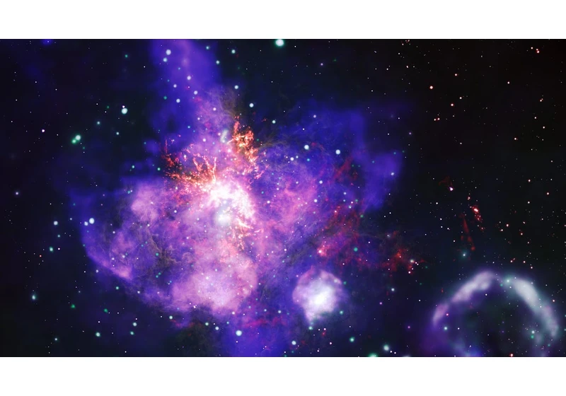 NASA Unveils Tarantula Nebula as 'Stellar Bouquet' for Valentine's Day