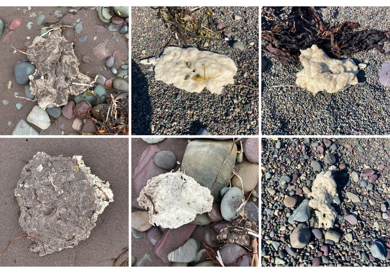 Chemist Identifies Mystery 'Blobs' Washing Up in Newfoundland
