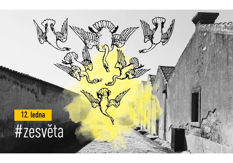 #zesvěta: Černý obchod s němou tváří