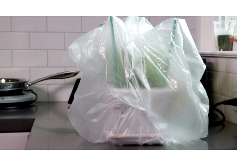 A Plastic Bag Can Keep Houseplants Alive While You're on Vacation. Here's How