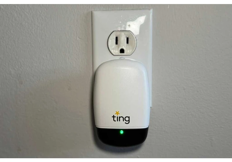 Ting Sensor with Fire Prevention Service review: Forewarned is forearmed