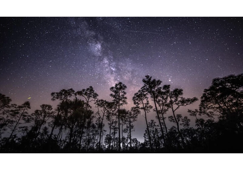 The Eta Aquarid Meteor Shower Will Peak Monday Night: Here's How to Watch