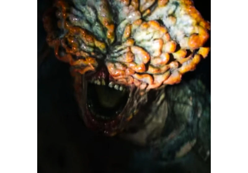 Houbové zombíky v „The Last of Us“ inspirovala krutá realita džungle