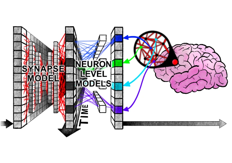 Continuous Thought Machines
