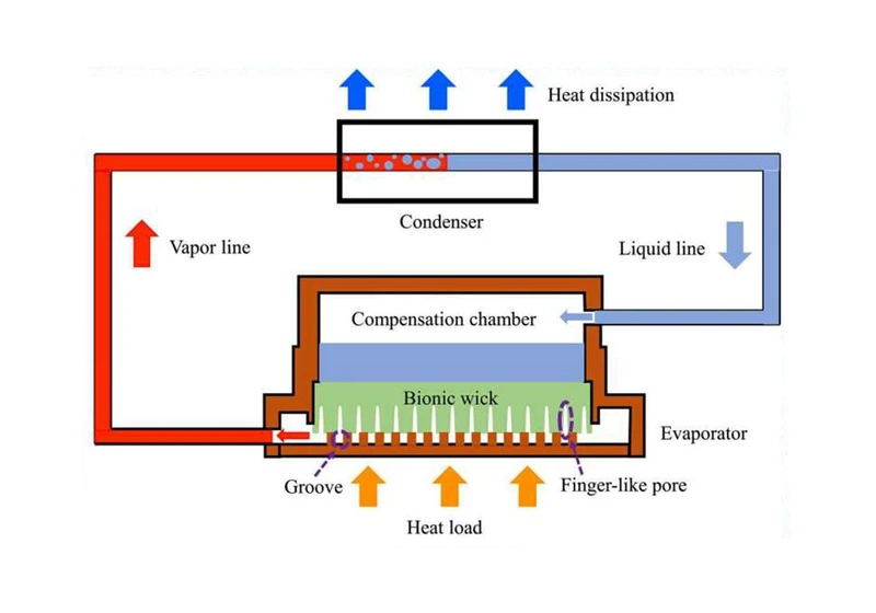 Researchers get inspiration from Mother Nature to design innovative chip cooler that could one day find its way in AI data centers